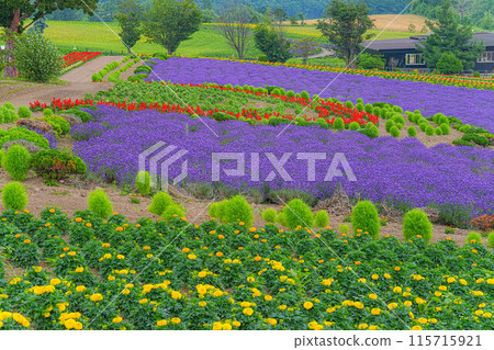  Flower garden 115715921