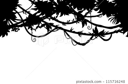 Tropical jungle forest lianas silhouette background frame, Amazon nature thicket black shadow. Vector rainforest leaves, plants and trees foliage. African floral upper border with tropic vegetation Tropical jungle forest lianas silhouette background frame, Amazon nature thicket black shadow. Vector rainforest leaves, plants and trees foliage. African floral upper border with tropic vegetation 115716248