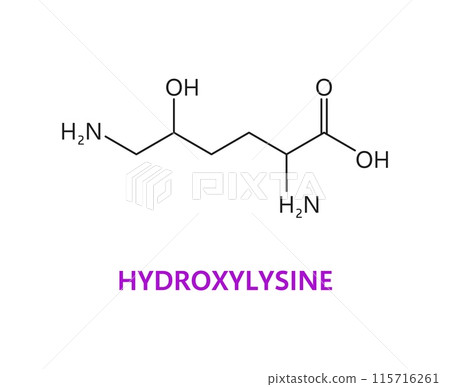Hydroxylysine amino acid chemical molecules, essential chain structure, includes a lysine backbone with an additional hydroxyl group, contributing to collagen stability. Vector structural model Hydroxylysine amino acid chemical molecules, essential chain structure, includes a lysine backbone with an additional hydroxyl group, contributing to collagen stability. Vector structural model 115716261