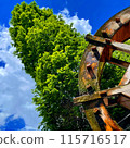 Waterwheel and trees 115716517