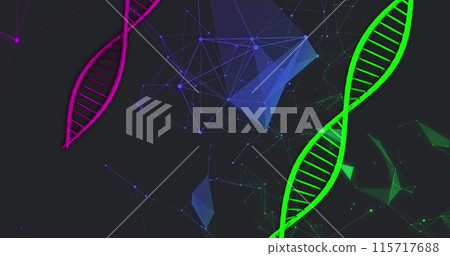 Image of networks of connections and dna strands spinning 115717688