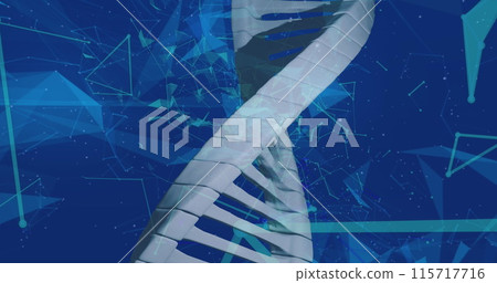 Image of networks of connections and dna strand spinning 115717716