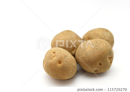 馬鈴薯（北田桂井） 115720270