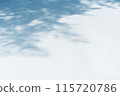 Winter shadows and snow 115720786