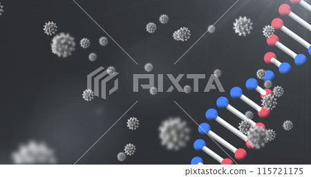 Image of 3d DNA strand spinning with Covid 19 coronavirus cells floating on black background 115721175