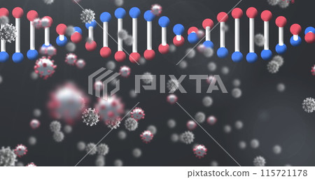 Image of 3d DNA strand spinning with Covid 19 coronavirus cells floating on black background Image of 3d DNA strand spinning with Covid 19 coronavirus cells floating on black background 115721178