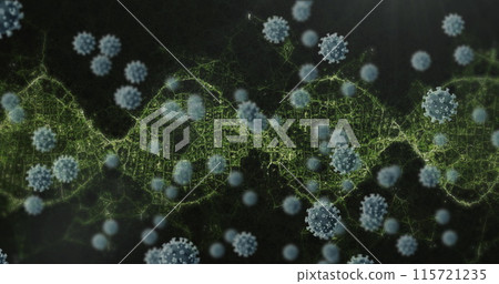 Image of 3d DNA strand spinning with Covid 19 coronavirus cells floating on black background 115721235