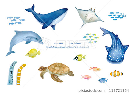 溫柔的水彩海洋生物插圖集 115721564