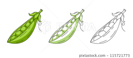 Green pea, colorful and line icons set. Farm vegetable vector outline icon, monochrome and color illustration. Healthy nutrition, organic food, vegetarian product. For sticker, logo, coloring book 115721773