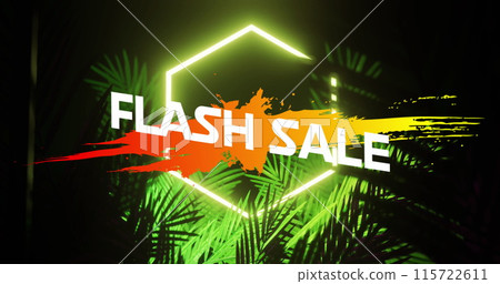 Image of flash sale text on hexagon over plantation against black background Image of flash sale text on hexagon over plantation against black background 115722611