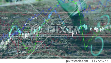 The ground is being swept with a broom in the park The ground is being swept with a broom in the park 115723243