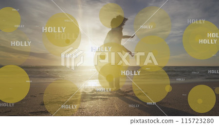 Image of holly texts over biracial mother and daughter at beach 115723280