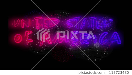 Image of united states of america text and fireworks on black background 115723480
