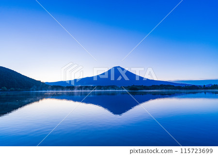 [Shizuoka] Dawn at Lake Tanuki, Mt. Fuji 115723699