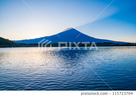 [Shizuoka] Dawn at Lake Tanuki, Mt. Fuji 115723704