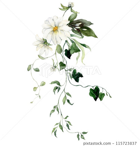 Watercolor floral card featuring flowers, bedstraw, buds and herbs. Hand-drawn composition of a plant bouquet on a white background. An outdoor illustration for design, printing or fabric background. Watercolor floral card featuring flowers, bedstraw, buds and herbs. Hand-drawn composition of a plant bouquet on a white background. An outdoor illustration for design, printing or fabric background. 115723837
