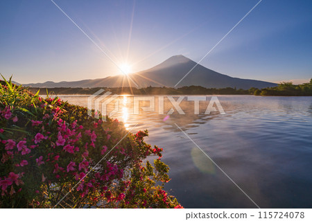 [靜岡縣]狸湖和富士山日出時的小月（杜鵑花） 115724078