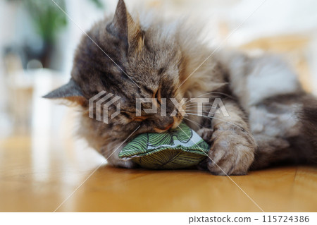 fabric pillow roll filled with catnip for play and interest of cats fabric pillow roll filled with catnip for play and interest of cats 115724386