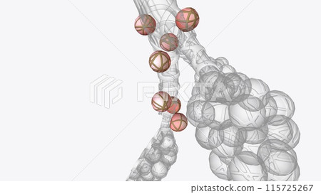 Alveoli are tiny, balloon-shaped air sacs located at the end of the bronchioles, the branch-like tubes in the lungs Alveoli are tiny, balloon-shaped air sacs located at the end of the bronchioles, the branch-like tubes in the lungs 115725267