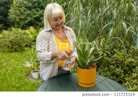 Closeup view of elderly woman watering flower plant outdoors. Pretty female taking care of garden. Watering flowers from watering can in summer time. Free time hobbies for seniors. Closeup view of elderly woman watering flower plant outdoors. Pretty female taking care of garden. Watering flowers from watering can in summer time. Free time hobbies for seniors. 115725329