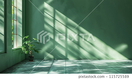 Green background for product presentation with shadow and light from windows Green background for product presentation with shadow and light from windows 115725589