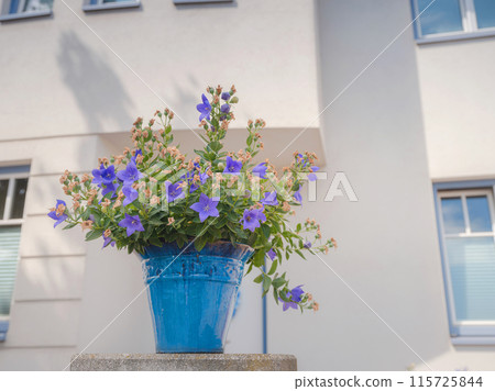 summer trip around Vienna, Austria. Modling district - countryside with cozy houses 115725844