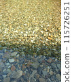 The surface of the river illuminated by the setting sun 115726251