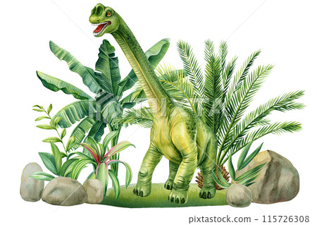 Brontosaurus, watercolor dinosaur illustration with prehistoric landscape, plants and palm tree. Green Dinosaur, tropical 115726308