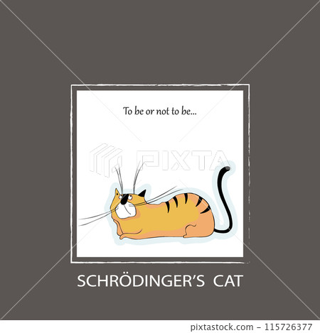 Cute Schrodinger`s cat in a box vector illustration. To be or not to be. Meditative cat. 115726377