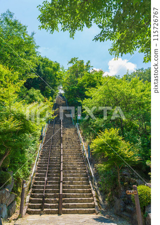 Tsukimi no Mori, a steep staircase to the moon (Kaizu City, Gifu Prefecture) Tsukimi no Mori, a steep staircase to the moon (Kaizu City, Gifu Prefecture) 115726767