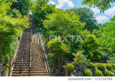 《月見之森》《月球陡梯》<岐阜縣海津市> 115726768