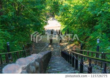 Tsukimi no Mori, a steep staircase to the moon (Kaizu City, Gifu Prefecture) Tsukimi no Mori, a steep staircase to the moon (Kaizu City, Gifu Prefecture) 115726775
