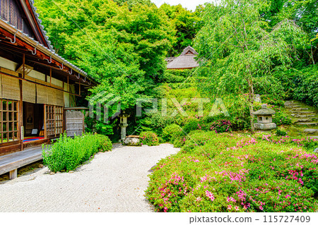 Kyoto, Ichijoji Konpukuji Garden 115727409