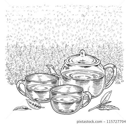 Tea party Vector hand drawn illustration. Vintage Cup and Pot on a plantation background. White and black line art drawing. Sketch print for kitchen jars and food packaging. Editable clip art 115727704