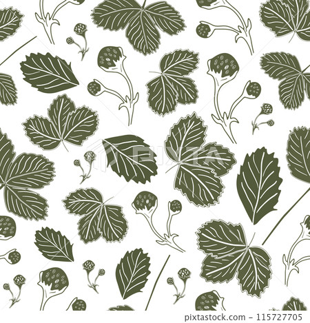 Seamless pattern with wild strawberries and leaves for fabric, web banner design. Green print on a white background. A repeating texture. Berry simple background for packaging, wallpaper, cover. Seamless pattern with wild strawberries and leaves for fabric, web banner design. Green print on a white background. A repeating texture. Berry simple background for packaging, wallpaper, cover. 115727705