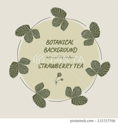 Round frame with strawberry leaves. Ideal as a photo frame, for scrapbooking, postcards, posters, invitations, food packaging design and tea. Round frame with strawberry leaves. Ideal as a photo frame, for scrapbooking, postcards, posters, invitations, food packaging design and tea. 115727706