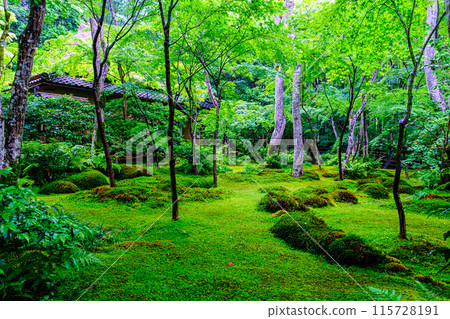 京都嵯峨野只王寺境內的庭園 115728191