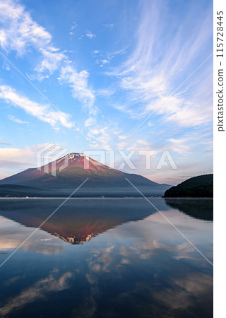 山梨縣初夏的山中湖倒映著倒映的富士山 115728445