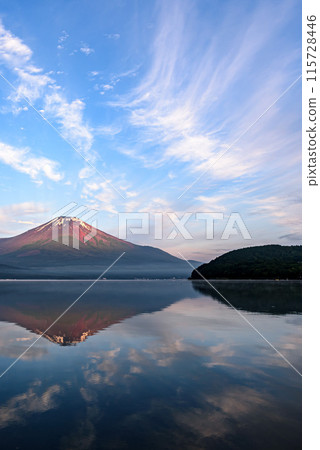 Inverted Fuji reflected in Lake Yamanaka in early summer, Yamanashi Prefecture 115728446