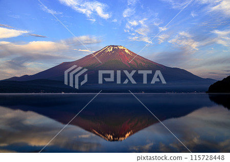 Inverted Fuji reflected in Lake Yamanaka in early summer, Yamanashi Prefecture 115728448