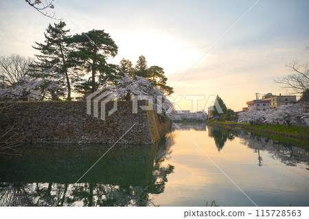 Tsurugajo Park 115728563