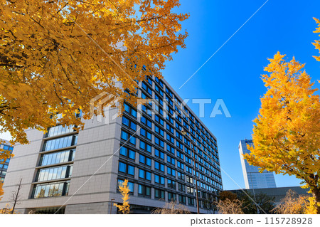 Autumn leaves around the House of Councillors Building in Nagatacho, Chiyoda Ward, Tokyo Autumn leaves around the House of Councillors Building in Nagatacho, Chiyoda Ward, Tokyo 115728928