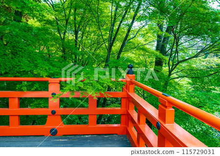 Kyoto Kitano Tenmangu Shrine's Momiji Garden: Red stage and green maples Kyoto Kitano Tenmangu Shrine's Momiji Garden: Red stage and green maples 115729031