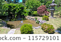 日本庭園 115729101