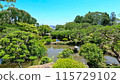 新鮮的綠色日本庭院 115729102
