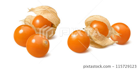 Physalis or golden berries isolated on white background Physalis or golden berries isolated on white background 115729123