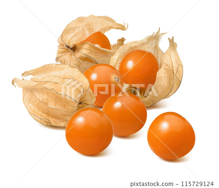 Big group of physalis or golden berries isolated on white background. Package design element 115729124