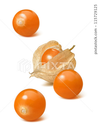 Physalis or golden berries scattered isolated on white background. Vertical layout 115729125