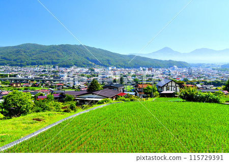Around Chino Station, overlooking Mount Tateshina (Chino City, Nagano Prefecture) [June 2024] 115729391