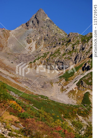Glacier Park in autumn and colored leaves 115729545
